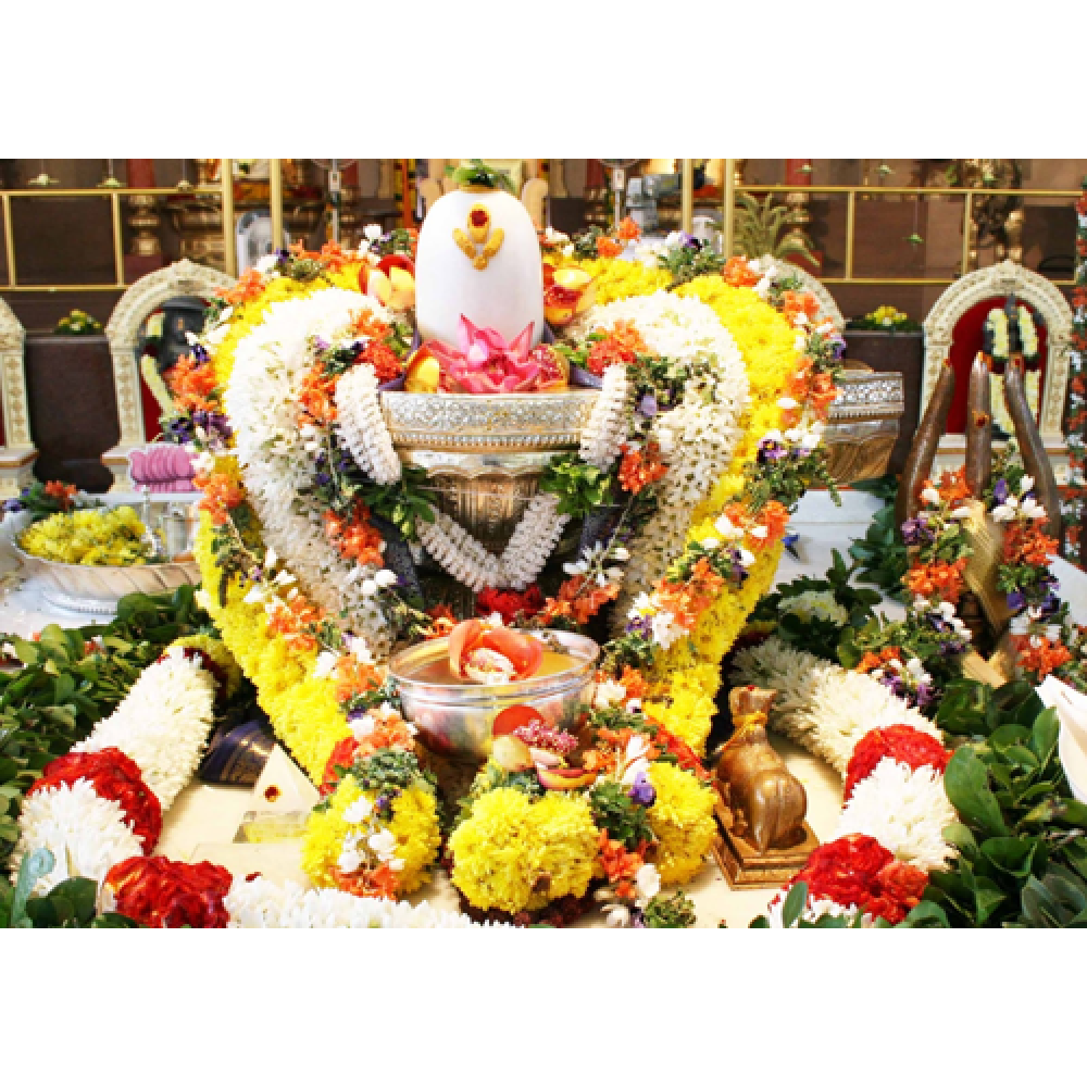 Karthikamasm Abhishekam Kit Karthikamasm Abhishekam Kit
